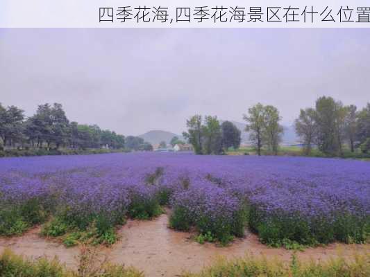 四季花海,四季花海景区在什么位置