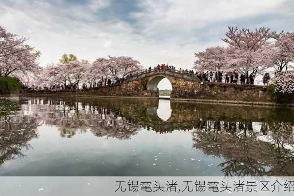 无锡鼋头渚,无锡鼋头渚景区介绍