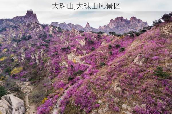 大珠山,大珠山风景区