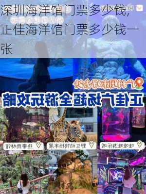 深圳海洋馆门票多少钱,正佳海洋馆门票多少钱一张