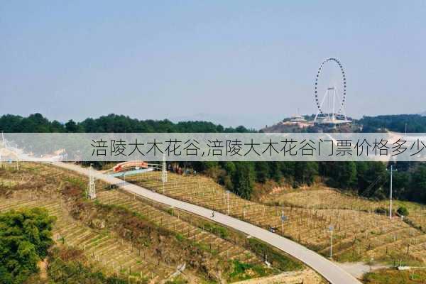 涪陵大木花谷,涪陵大木花谷门票价格多少