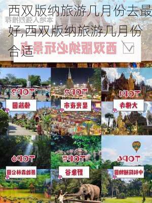 西双版纳旅游几月份去最好,西双版纳旅游几月份合适