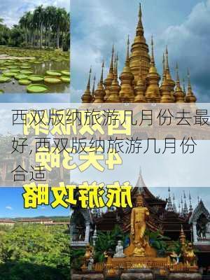 西双版纳旅游几月份去最好,西双版纳旅游几月份合适