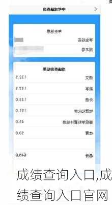 成绩查询入口,成绩查询入口官网