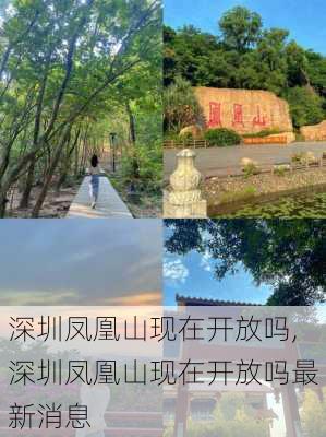 深圳凤凰山现在开放吗,深圳凤凰山现在开放吗最新消息