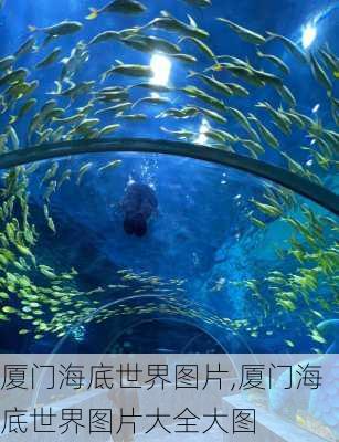 厦门海底世界图片,厦门海底世界图片大全大图