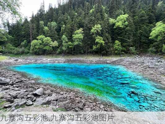 九寨沟五彩池,九寨沟五彩池图片