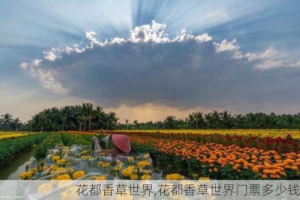 花都香草世界,花都香草世界门票多少钱