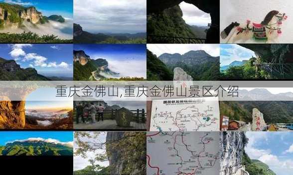 重庆金佛山,重庆金佛山景区介绍