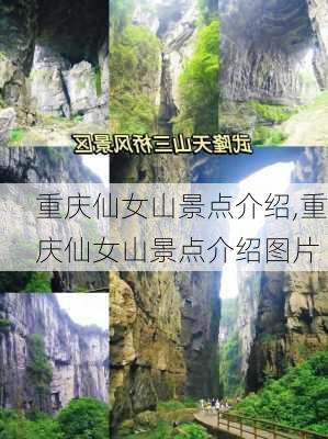 重庆仙女山景点介绍,重庆仙女山景点介绍图片