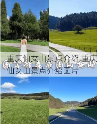 重庆仙女山景点介绍,重庆仙女山景点介绍图片