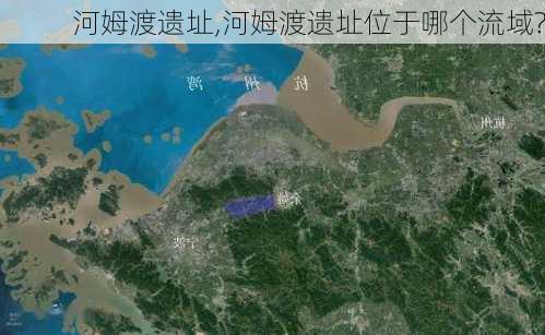 河姆渡遗址,河姆渡遗址位于哪个流域?