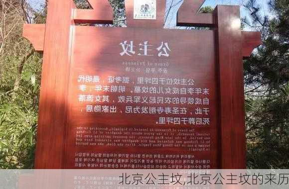 北京公主坟,北京公主坟的来历