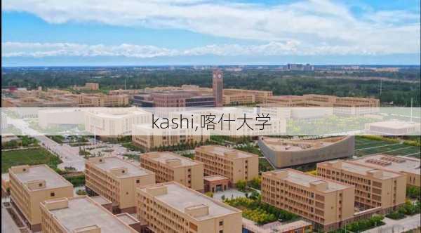 kashi,喀什大学