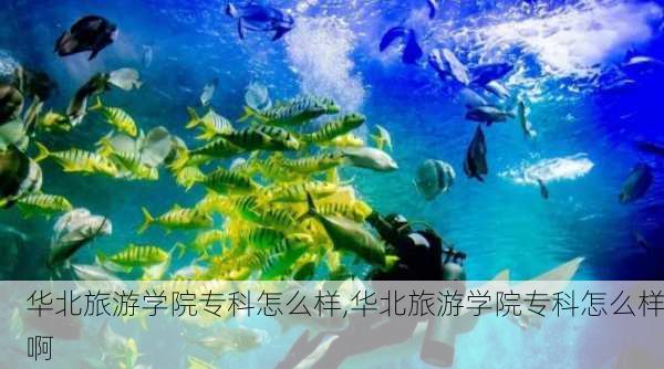 华北旅游学院专科怎么样,华北旅游学院专科怎么样啊