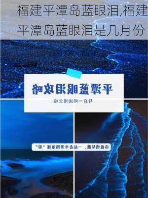 福建平潭岛蓝眼泪,福建平潭岛蓝眼泪是几月份