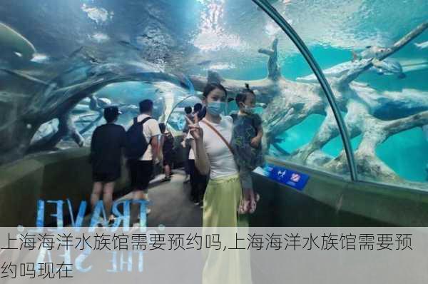 上海海洋水族馆需要预约吗,上海海洋水族馆需要预约吗现在