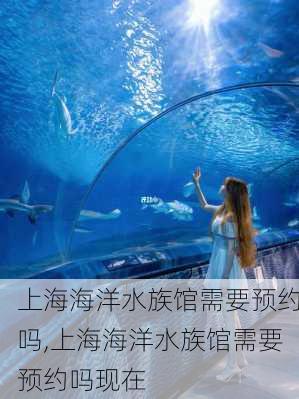 上海海洋水族馆需要预约吗,上海海洋水族馆需要预约吗现在