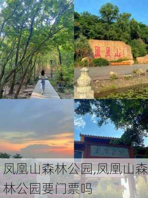 凤凰山森林公园,凤凰山森林公园要门票吗