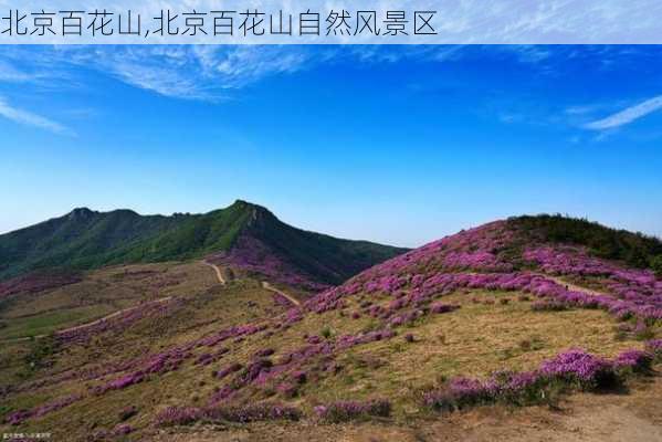 北京百花山,北京百花山自然风景区