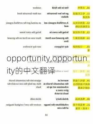 opportunity,opportunity的中文翻译