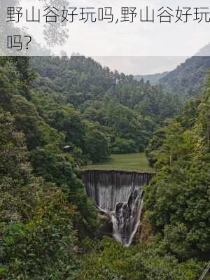 野山谷好玩吗,野山谷好玩吗?