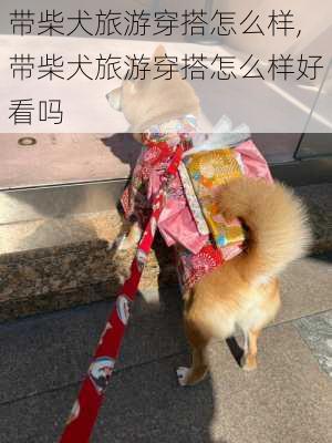 带柴犬旅游穿搭怎么样,带柴犬旅游穿搭怎么样好看吗