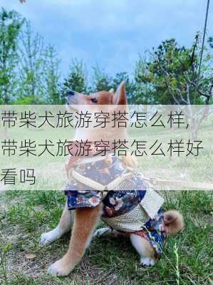 带柴犬旅游穿搭怎么样,带柴犬旅游穿搭怎么样好看吗