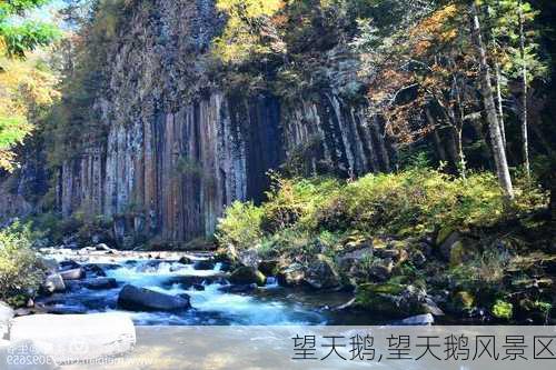 望天鹅,望天鹅风景区