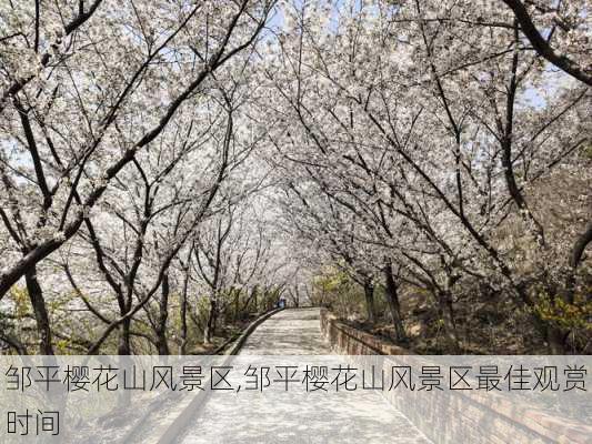 邹平樱花山风景区,邹平樱花山风景区最佳观赏时间