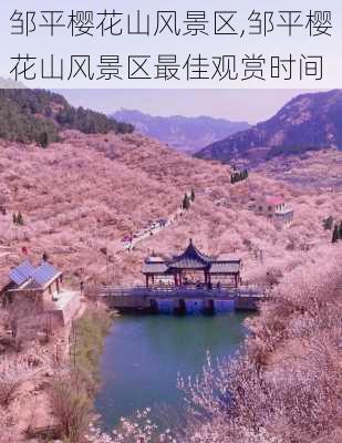 邹平樱花山风景区,邹平樱花山风景区最佳观赏时间