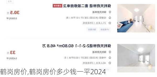 鹤岗房价,鹤岗房价多少钱一平2024