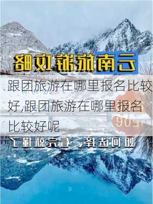 跟团旅游在哪里报名比较好,跟团旅游在哪里报名比较好呢