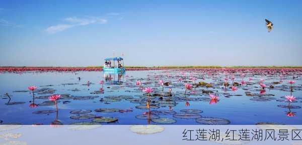 红莲湖,红莲湖风景区