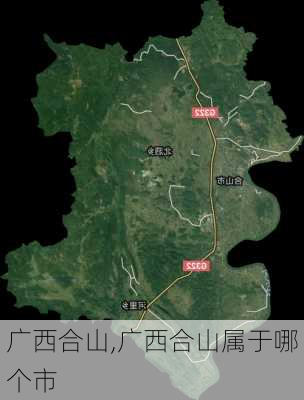 广西合山,广西合山属于哪个市