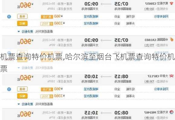 机票查询特价机票,哈尔滨至烟台飞机票查询特价机票