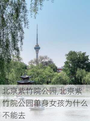 北京紫竹院公园,北京紫竹院公园单身女孩为什么不能去