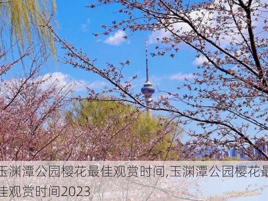 玉渊潭公园樱花最佳观赏时间,玉渊潭公园樱花最佳观赏时间2023