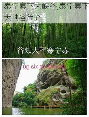 泰宁寨下大峡谷,泰宁寨下大峡谷简介