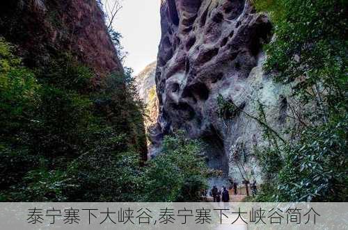 泰宁寨下大峡谷,泰宁寨下大峡谷简介