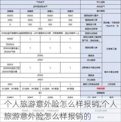 个人旅游意外险怎么样报销,个人旅游意外险怎么样报销的