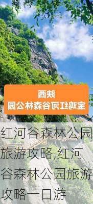 红河谷森林公园旅游攻略,红河谷森林公园旅游攻略一日游