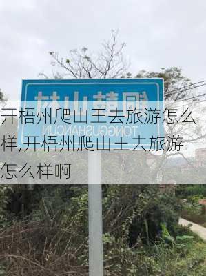 开梧州爬山王去旅游怎么样,开梧州爬山王去旅游怎么样啊