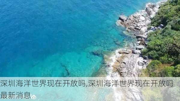 深圳海洋世界现在开放吗,深圳海洋世界现在开放吗最新消息