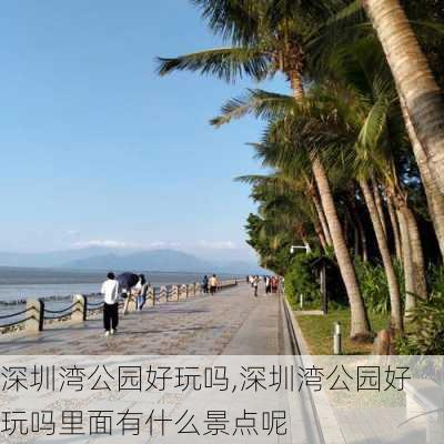 深圳湾公园好玩吗,深圳湾公园好玩吗里面有什么景点呢