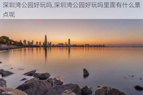 深圳湾公园好玩吗,深圳湾公园好玩吗里面有什么景点呢