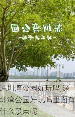 深圳湾公园好玩吗,深圳湾公园好玩吗里面有什么景点呢