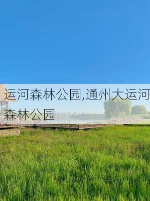 运河森林公园,通州大运河森林公园