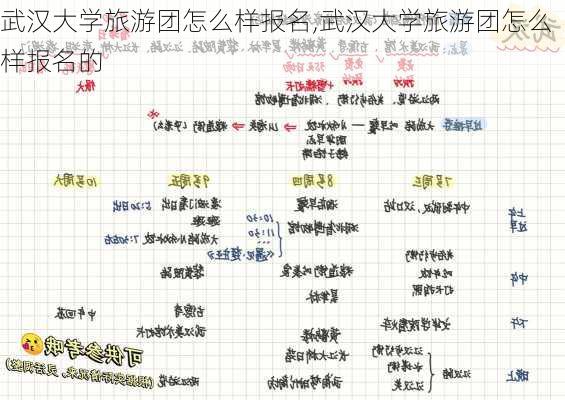 武汉大学旅游团怎么样报名,武汉大学旅游团怎么样报名的