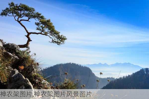 神农架图片,神农架图片风景图片